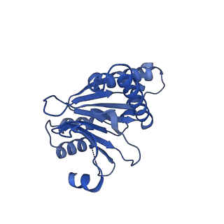 7097_6bgl_H_v1-3
Doubly PafE-capped 20S core particle in Mycobacterium tuberculosis