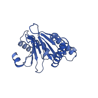 7097_6bgl_I_v1-3
Doubly PafE-capped 20S core particle in Mycobacterium tuberculosis