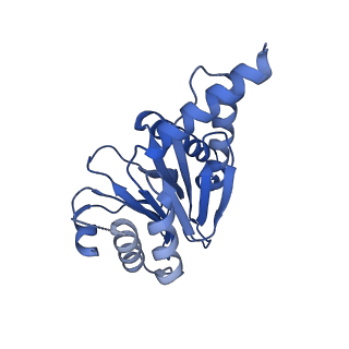 7097_6bgl_J_v1-3
Doubly PafE-capped 20S core particle in Mycobacterium tuberculosis