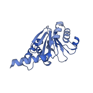 7097_6bgl_M_v1-3
Doubly PafE-capped 20S core particle in Mycobacterium tuberculosis