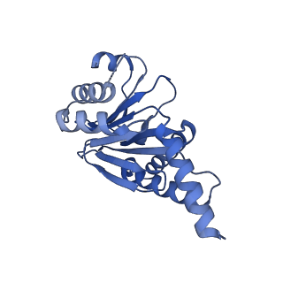 7097_6bgl_O_v1-3
Doubly PafE-capped 20S core particle in Mycobacterium tuberculosis