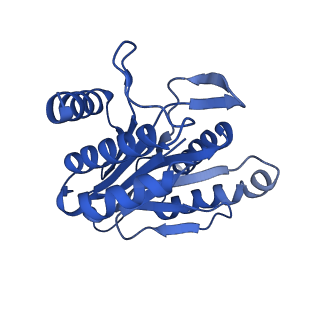 7097_6bgl_P_v1-3
Doubly PafE-capped 20S core particle in Mycobacterium tuberculosis