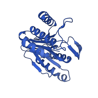 7097_6bgl_Q_v1-3
Doubly PafE-capped 20S core particle in Mycobacterium tuberculosis