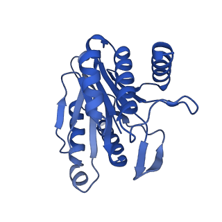 7097_6bgl_R_v1-3
Doubly PafE-capped 20S core particle in Mycobacterium tuberculosis