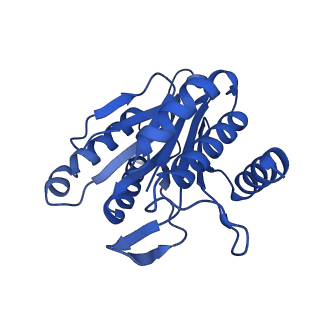 7097_6bgl_S_v1-3
Doubly PafE-capped 20S core particle in Mycobacterium tuberculosis