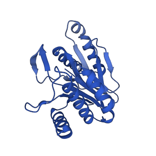 7097_6bgl_U_v1-3
Doubly PafE-capped 20S core particle in Mycobacterium tuberculosis