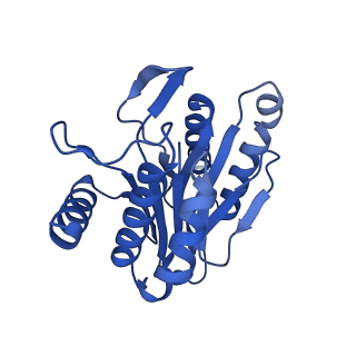 7097_6bgl_V_v1-3
Doubly PafE-capped 20S core particle in Mycobacterium tuberculosis