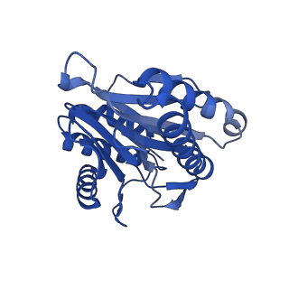 7097_6bgl_W_v1-3
Doubly PafE-capped 20S core particle in Mycobacterium tuberculosis