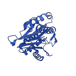 7097_6bgl_X_v1-3
Doubly PafE-capped 20S core particle in Mycobacterium tuberculosis