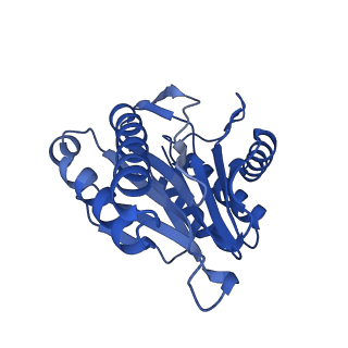 7097_6bgl_Z_v1-3
Doubly PafE-capped 20S core particle in Mycobacterium tuberculosis