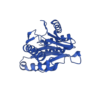 7097_6bgl_a_v1-3
Doubly PafE-capped 20S core particle in Mycobacterium tuberculosis