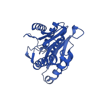 7097_6bgl_b_v1-3
Doubly PafE-capped 20S core particle in Mycobacterium tuberculosis