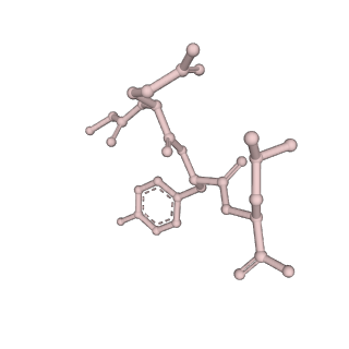 7097_6bgl_d_v1-3
Doubly PafE-capped 20S core particle in Mycobacterium tuberculosis