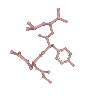 7097_6bgl_i_v1-3
Doubly PafE-capped 20S core particle in Mycobacterium tuberculosis