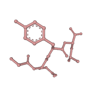 7097_6bgl_o_v1-3
Doubly PafE-capped 20S core particle in Mycobacterium tuberculosis