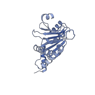 7098_6bgo_A_v1-3
Singly PafE-capped 20S CP in Mycobacterium tuberculosis