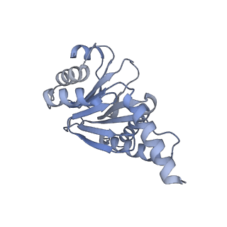 7098_6bgo_C_v1-3
Singly PafE-capped 20S CP in Mycobacterium tuberculosis