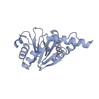 7098_6bgo_D_v1-3
Singly PafE-capped 20S CP in Mycobacterium tuberculosis