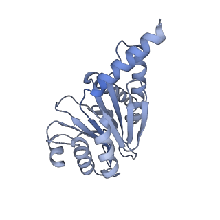 7098_6bgo_E_v1-3
Singly PafE-capped 20S CP in Mycobacterium tuberculosis