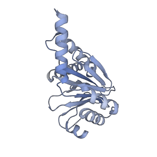 7098_6bgo_F_v1-3
Singly PafE-capped 20S CP in Mycobacterium tuberculosis