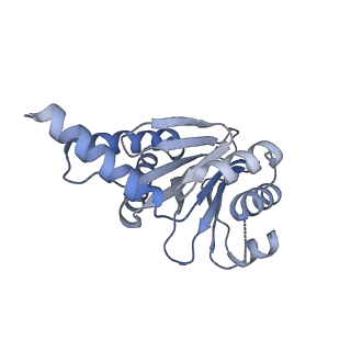 7098_6bgo_G_v1-3
Singly PafE-capped 20S CP in Mycobacterium tuberculosis