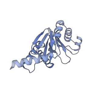 7098_6bgo_H_v1-3
Singly PafE-capped 20S CP in Mycobacterium tuberculosis