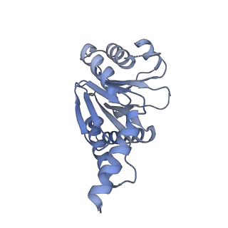 7098_6bgo_I_v1-3
Singly PafE-capped 20S CP in Mycobacterium tuberculosis