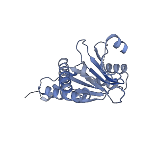 7098_6bgo_J_v1-3
Singly PafE-capped 20S CP in Mycobacterium tuberculosis