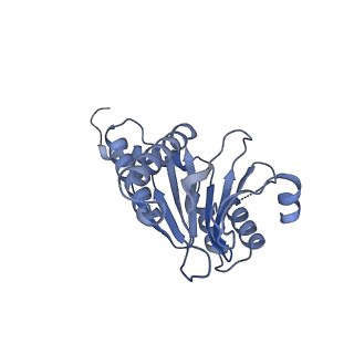 7098_6bgo_K_v1-3
Singly PafE-capped 20S CP in Mycobacterium tuberculosis