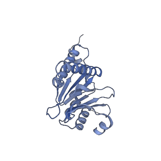 7098_6bgo_L_v1-3
Singly PafE-capped 20S CP in Mycobacterium tuberculosis