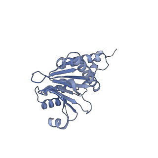 7098_6bgo_M_v1-3
Singly PafE-capped 20S CP in Mycobacterium tuberculosis