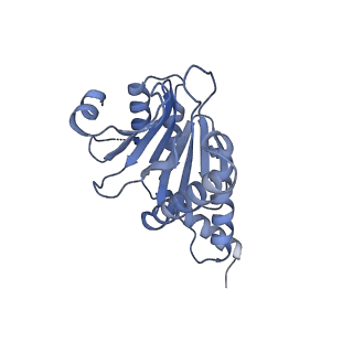 7098_6bgo_O_v1-3
Singly PafE-capped 20S CP in Mycobacterium tuberculosis