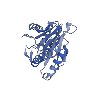 7098_6bgo_P_v1-3
Singly PafE-capped 20S CP in Mycobacterium tuberculosis