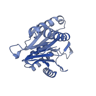 7098_6bgo_S_v1-3
Singly PafE-capped 20S CP in Mycobacterium tuberculosis