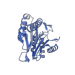 7098_6bgo_T_v1-3
Singly PafE-capped 20S CP in Mycobacterium tuberculosis