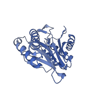 7098_6bgo_U_v1-3
Singly PafE-capped 20S CP in Mycobacterium tuberculosis