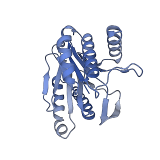 7098_6bgo_W_v1-3
Singly PafE-capped 20S CP in Mycobacterium tuberculosis