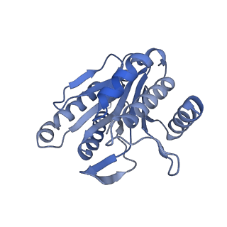 7098_6bgo_X_v1-3
Singly PafE-capped 20S CP in Mycobacterium tuberculosis