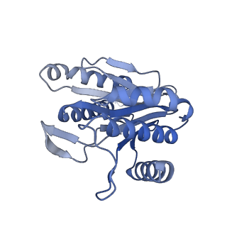 7098_6bgo_Y_v1-3
Singly PafE-capped 20S CP in Mycobacterium tuberculosis