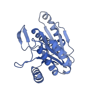 7098_6bgo_Z_v1-3
Singly PafE-capped 20S CP in Mycobacterium tuberculosis