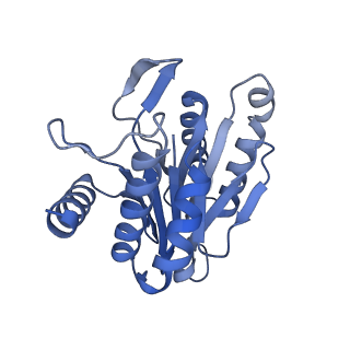 7098_6bgo_a_v1-3
Singly PafE-capped 20S CP in Mycobacterium tuberculosis