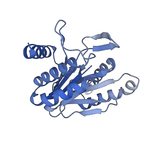 7098_6bgo_b_v1-3
Singly PafE-capped 20S CP in Mycobacterium tuberculosis