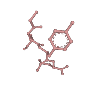 7098_6bgo_d_v1-3
Singly PafE-capped 20S CP in Mycobacterium tuberculosis