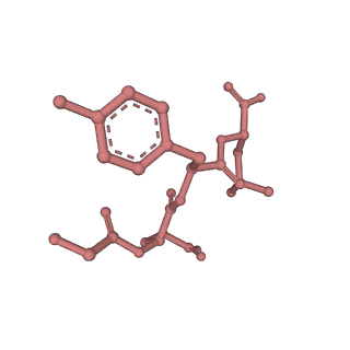 7098_6bgo_f_v1-3
Singly PafE-capped 20S CP in Mycobacterium tuberculosis