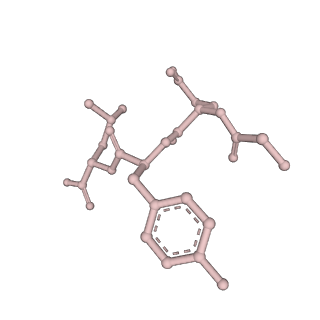 7098_6bgo_i_v1-3
Singly PafE-capped 20S CP in Mycobacterium tuberculosis