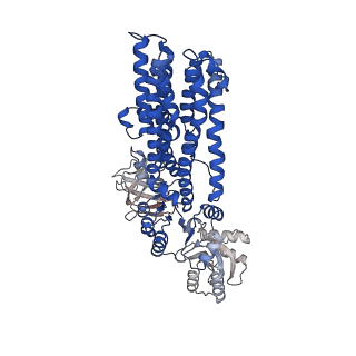 12185_7bh1_B_v1-2
Cryo-EM Structure of KdpFABC in E1 state with K