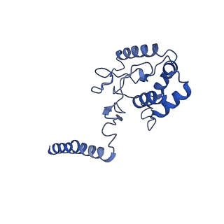 12185_7bh1_C_v1-2
Cryo-EM Structure of KdpFABC in E1 state with K
