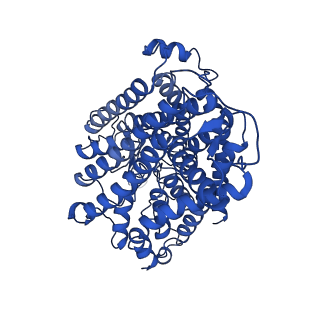 12186_7bh2_A_v1-1
Cryo-EM Structure of KdpFABC in E2Pi state with BeF3 and K+