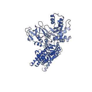12186_7bh2_B_v1-1
Cryo-EM Structure of KdpFABC in E2Pi state with BeF3 and K+
