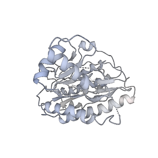 12189_7bhp_A_v1-1
Cryo-EM structure of the human Ebp1 - 80S ribosome